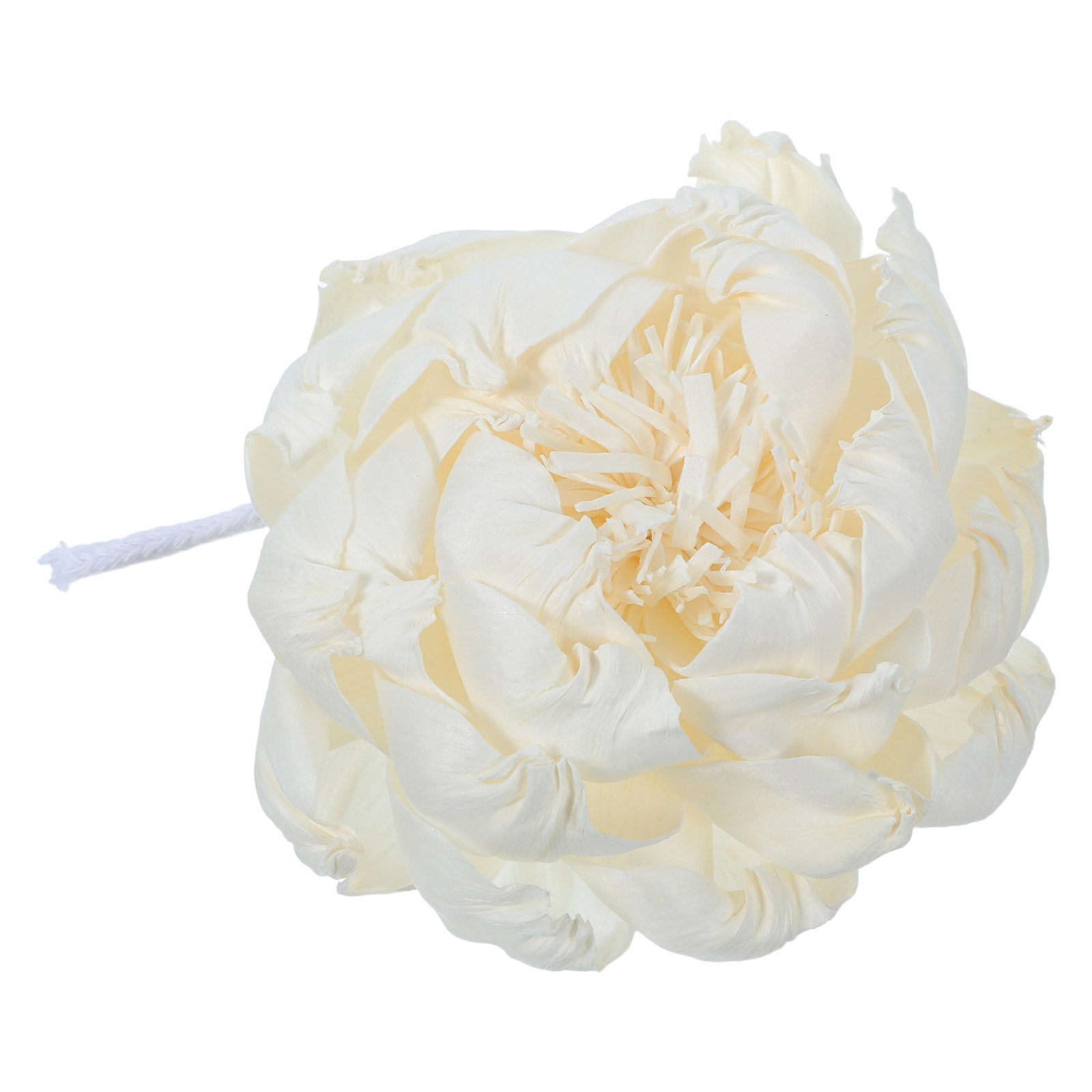 모란꽃 향 디퓨저 12cm 인조 모란꽃 향기로운 장식용 - Home Fragrance Usa 리뷰 및 가격